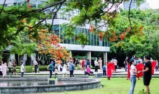 深圳华夏艺术中心